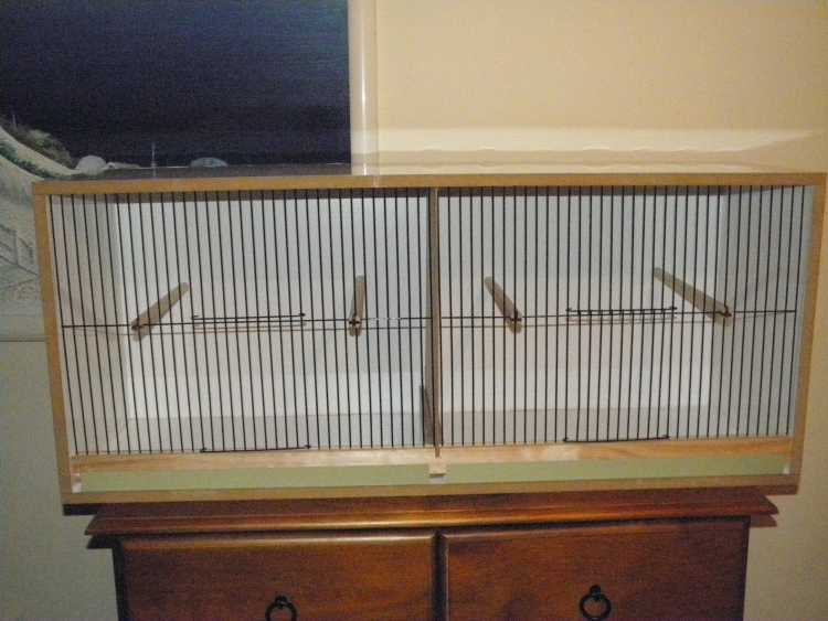 canary large double breeding cabinet with removabl